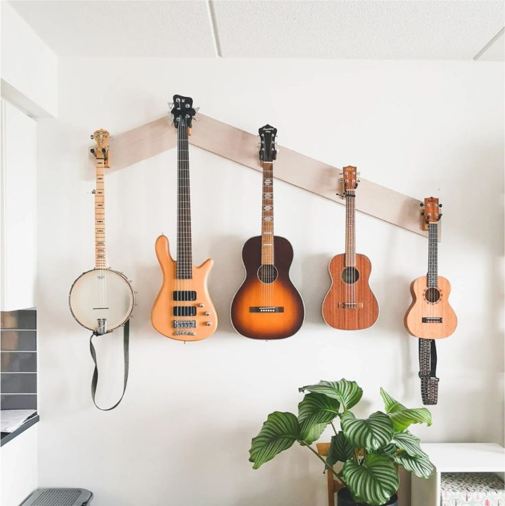 five guitars hanging on the wall in a room with a potted plant next to it