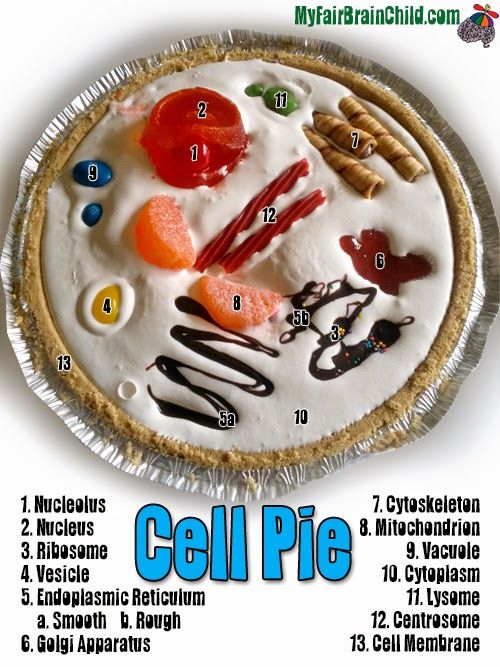 an advertisement for cell pie with instructions on how to make it and what to eat