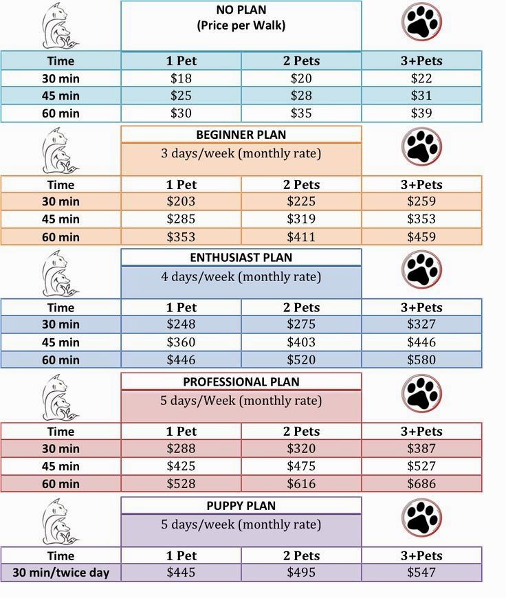 an image of a dog's schedule for the month in which it is being used