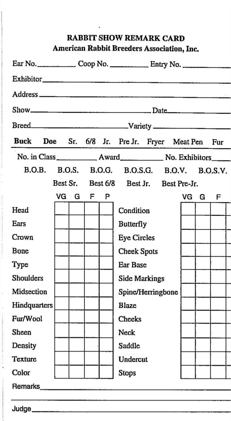 a printable sample form for the rabbit show remark car auction, which is in