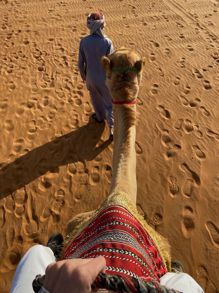 two people riding camels in the desert