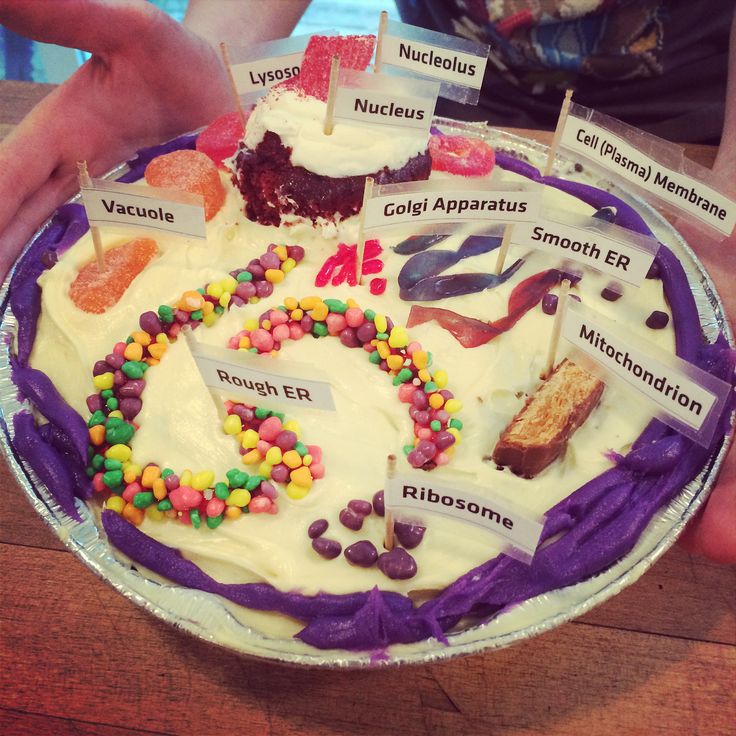 a person holding a plate with a cake on it that has different types of candies