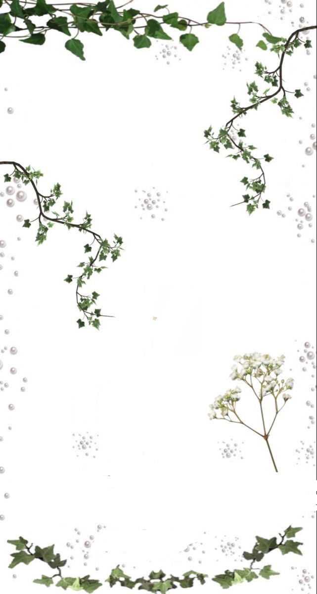 an image of ivy and flowers on a white background