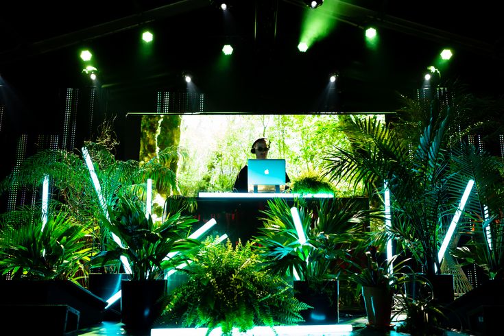 a laptop computer sitting on top of a table surrounded by plants