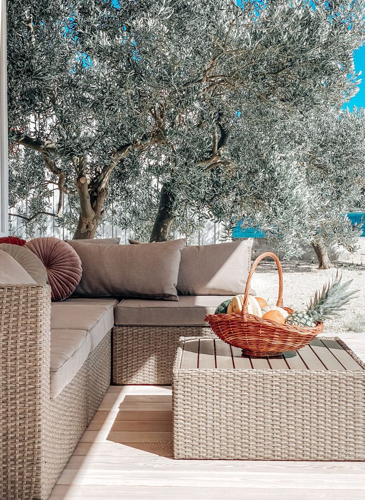 an outdoor living area with wicker furniture and olive trees