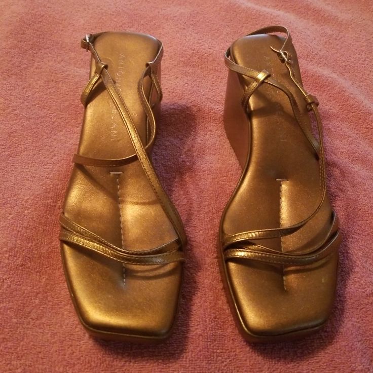 Bronze Color, Leather Material, 3-1/2"Wedge Heels, Straps Wrap Around Ankle, Never Worn Gold Wedge Heel Sandals With Padded Heel, Gold Sandals With Wrapped Wedge Heel, Gold Closed Toe Wedge Sandals For Formal Occasions, Formal Wedge Sandals With Stacked Heel, Formal Wedge Sandals With Heel Loop And Open Toe, Formal Open Toe Wedge Sandals With Heel Loop, Gold Leather Wedge Sandals With 4-inch Heel, Formal Gold Wedge Sandals With Removable Insole, Gold Wedge Sandals With Padded Heel For Summer