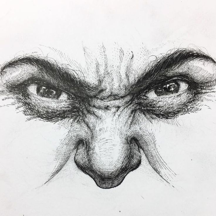 emotions & expressions ink portrait Anger Drawing, Anger Art, Art Alevel, Gcse Art Sketchbook, A Level Art Sketchbook, Scribble Art, Drawing Expressions, Sketch Inspiration, Portrait Sketches