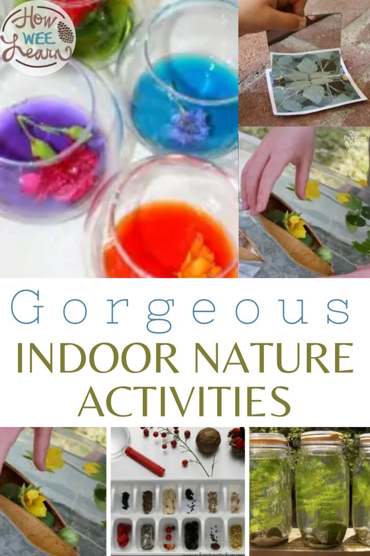 Pictures of items found in nature in various containers with the text "Gorgeous Indoor Nature Activities". Nature Club Activities, Indoor Nature Activities, Pre K Nature Activities, Nature Activities Preschool, Nature Activities For Kids, Indoor Nature, Grandma Camp, Nature Based Learning, Homeschooling Preschool