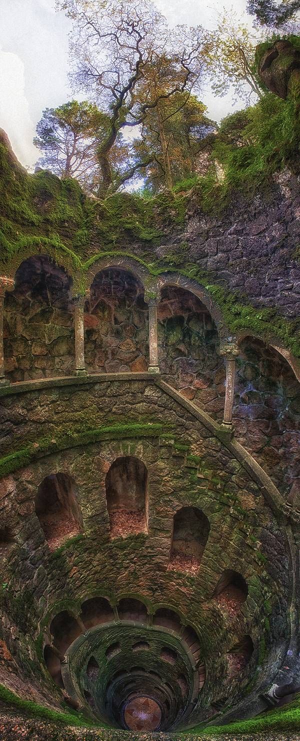 the inside of an old building with moss growing on it