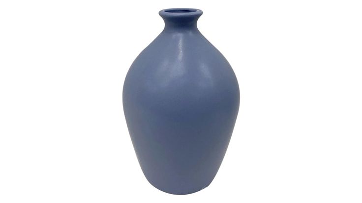 a blue vase is shown on a white background