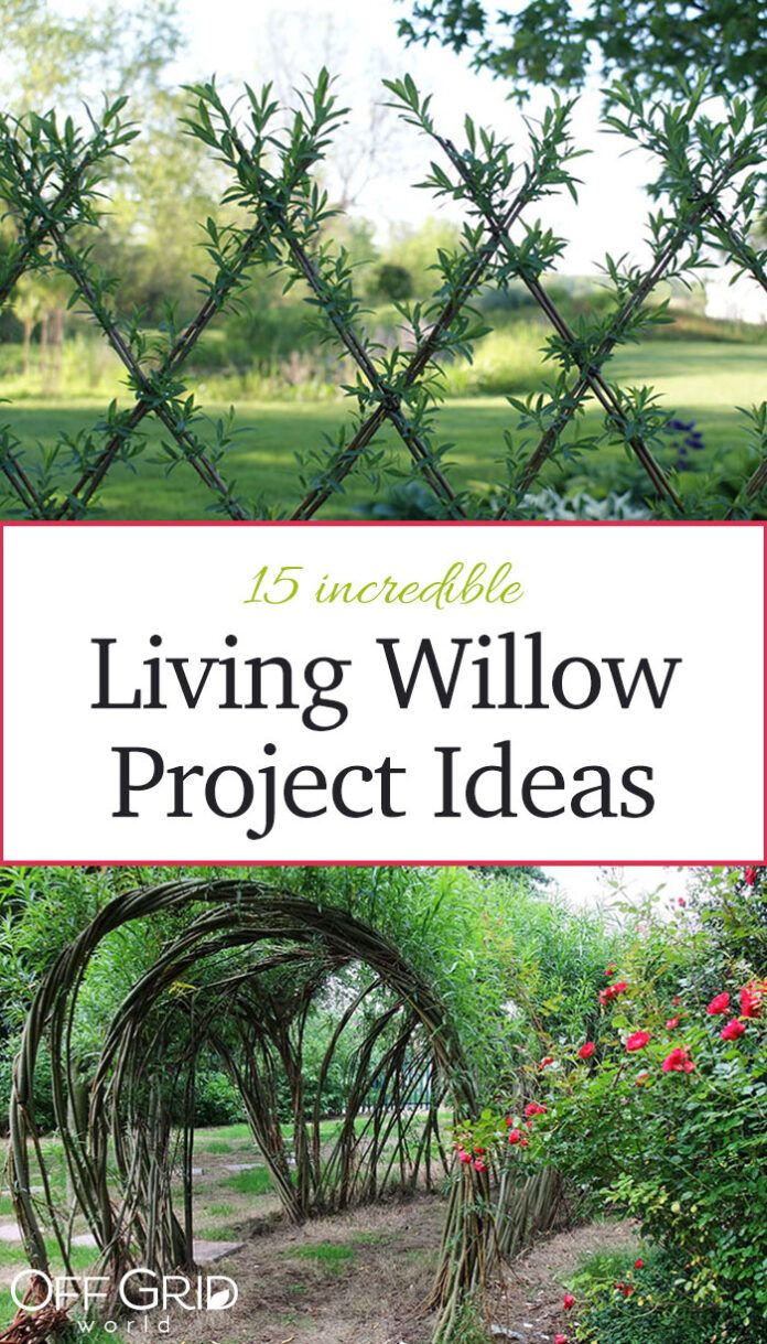 the cover of living willow project ideas is shown in front of a fence and flowers