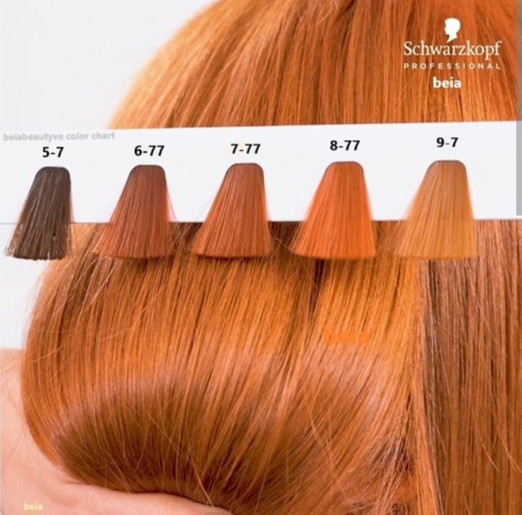 Orange Copper Hair, Igora Hair Color, Copper Blonde Hair Color, Cheveux Oranges, Copper Blonde Hair, Hair Color Orange, Strawberry Blonde Hair Color, Different Shades Of Red, Hair Color Formulas