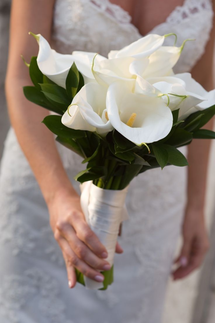 a bride holding a bouquet of white flowers