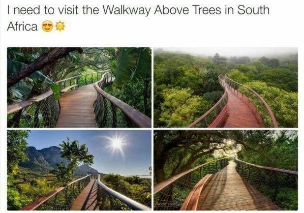 a series of photos showing different views of the walkways in south africa, with trees and mountains in the background