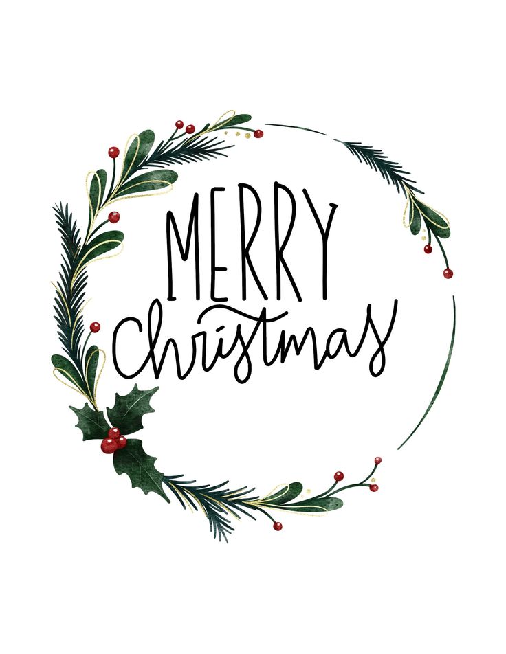 merry christmas lettering with holly and berries in the center on a white background, surrounded by greenery