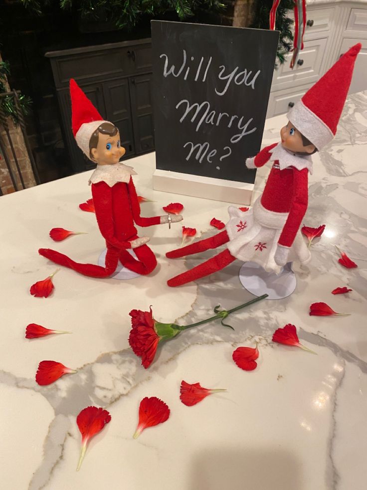 two elfs sitting on top of a table with roses and a sign that says will you marry me?