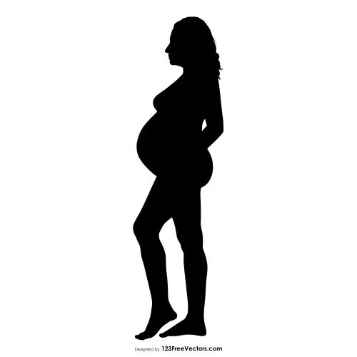 a pregnant woman silhouetted against a white background with the words, ` i'm not sure what this image is