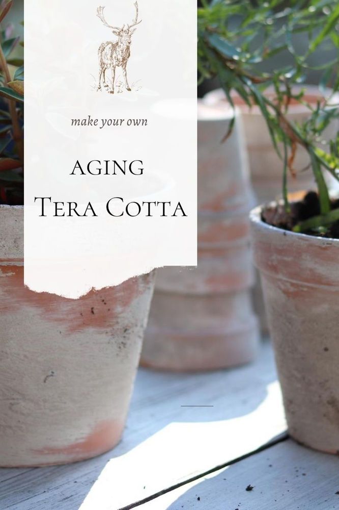 some potted plants sitting on top of a wooden table next to a sign that says make your own aging terra cota