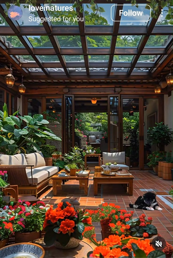 an outdoor living area with potted plants and flowers