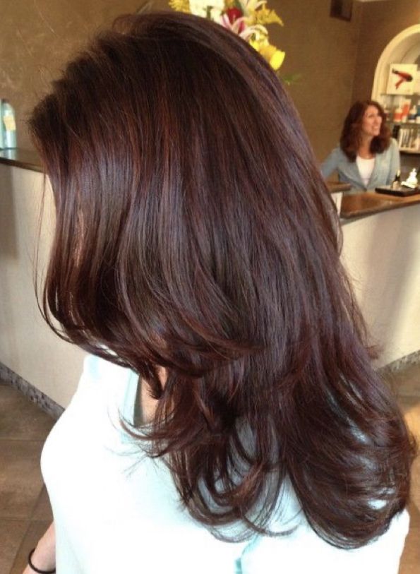 Red Hair On Asian Women, Dyed Hair Inspiration For Brunettes, Mahogany Hair Color Brown, Chocolate Brown Hair With Red Tint, Red Tinted Brown Hair, Brown Hair With Red Tint, Redish Brown Hair, Cherry Brown Hair, Mahogany Brown Hair