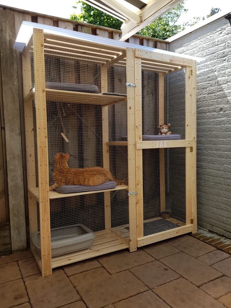 an orange cat laying on top of a wooden shelf next to a caged in area