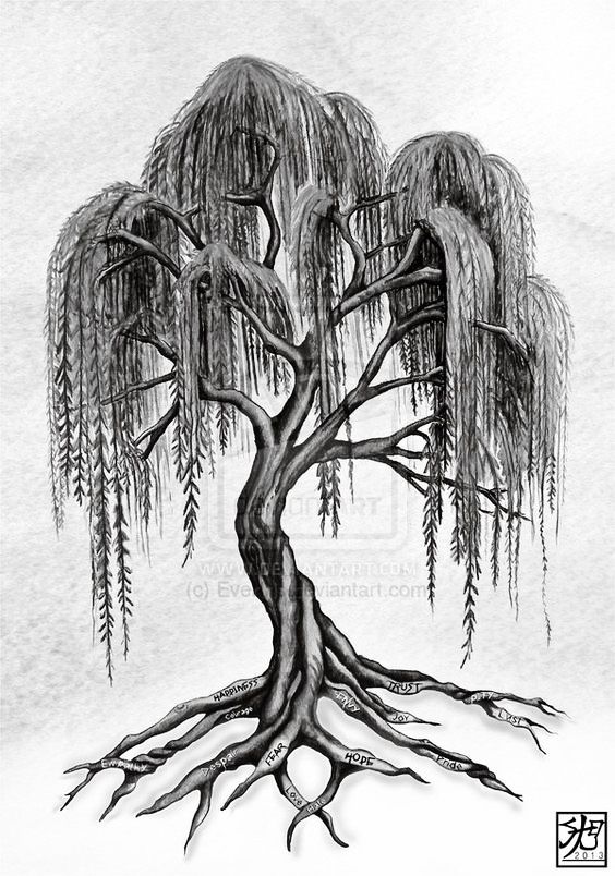 a drawing of a tree with its roots spread out and the branches are very large