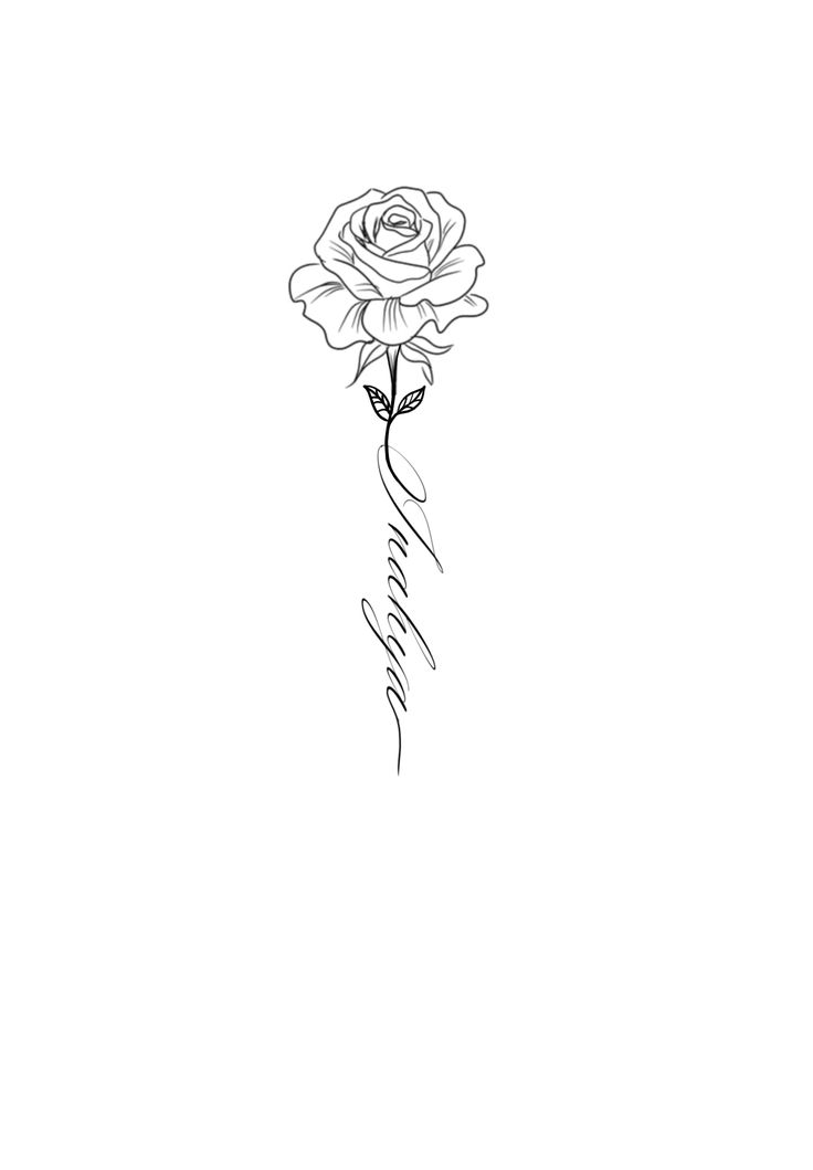 a drawing of a rose on a white background