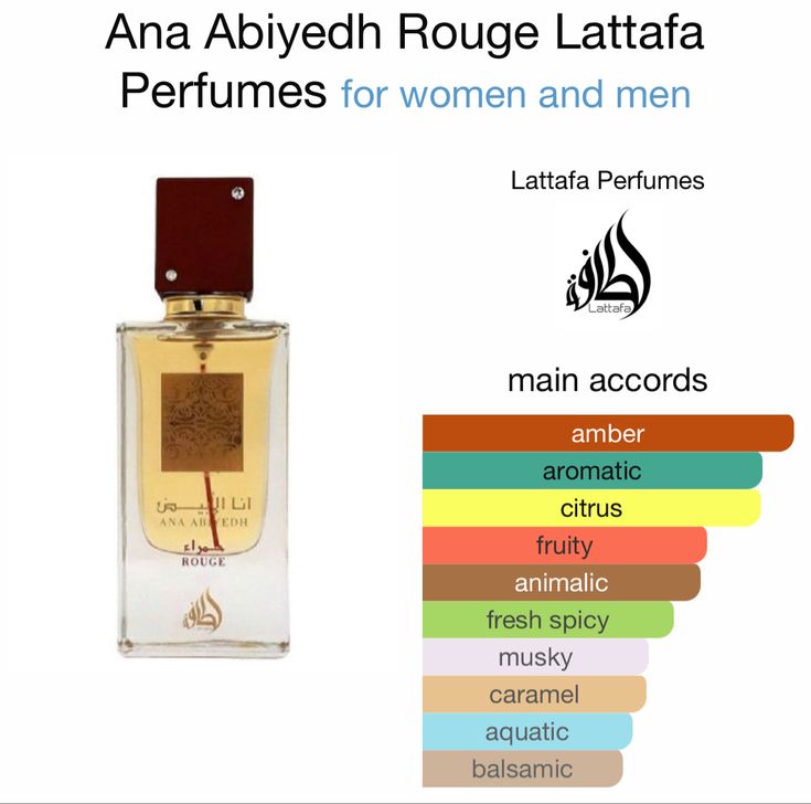 Arabian Scents, Perfume Combos, Lattafa Perfume, Perfume Business, Perfume Hacks, Perfume Notes, Fragrance Lab, Best Fragrance For Men, Perfume Organization