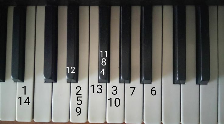 the piano keys are numbered in black and white