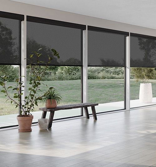 an empty room with large windows and potted plants