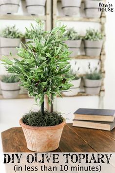 a small potted plant sitting on top of a wooden table next to a book