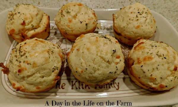 six baked muffins in a tray on a counter