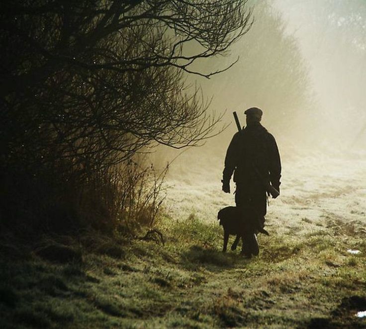 a man and his dog are walking in the fog