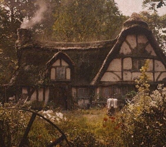 an old house with a thatched roof in the woods