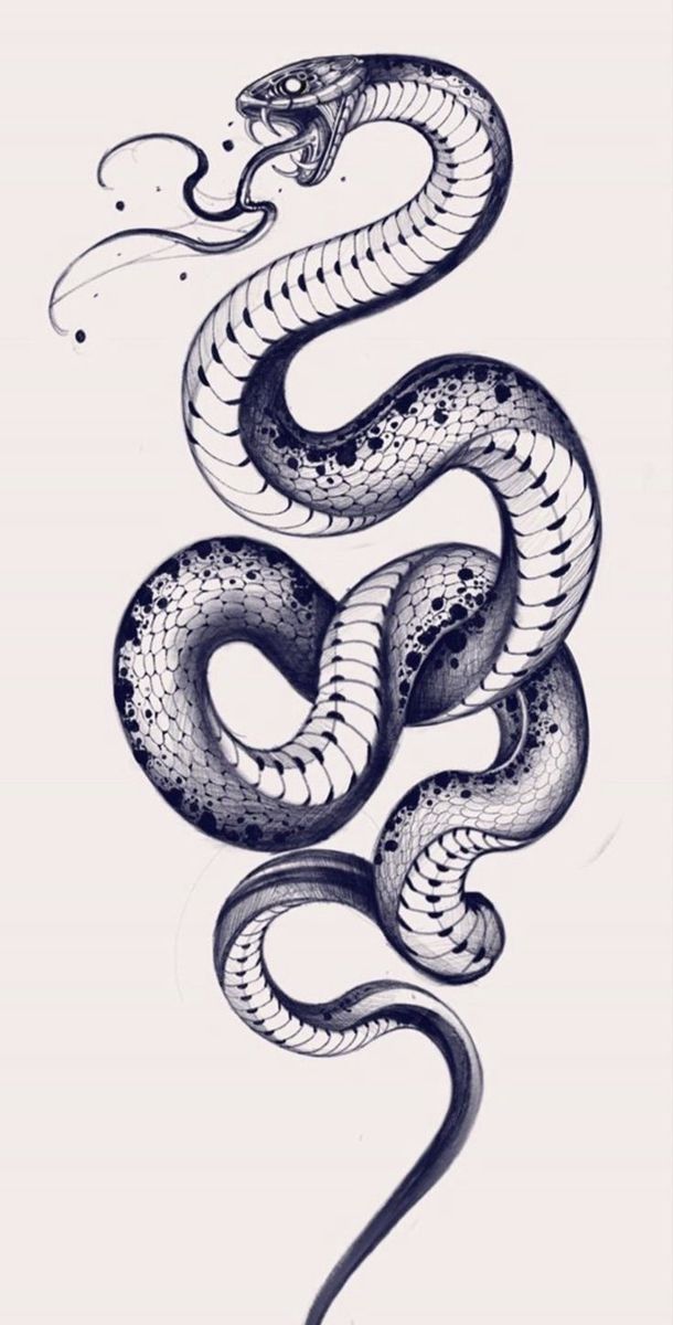 a black and white drawing of a snake