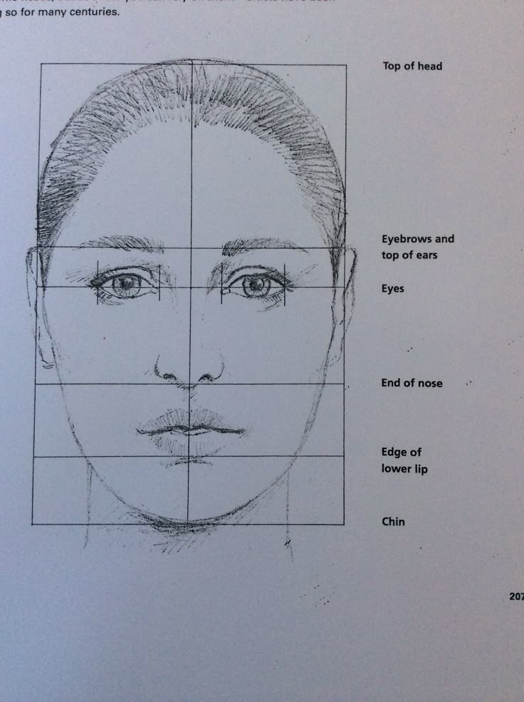 a drawing of a man's face with four different lines in front of him