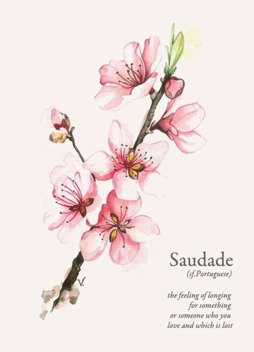 a watercolor painting of pink flowers on a branch with the words sanddae afernance