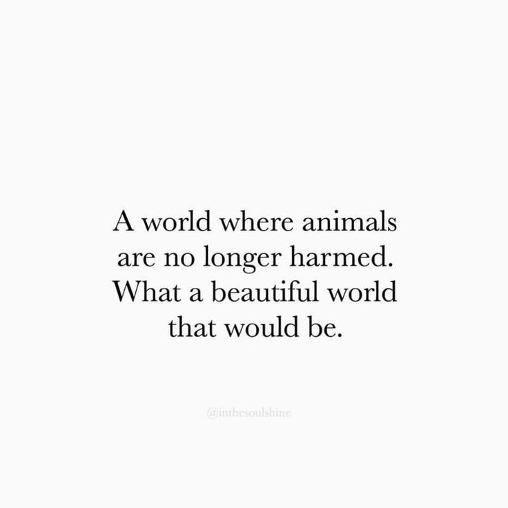 a quote that says, a world where animals are no longer harmed what a beautiful world