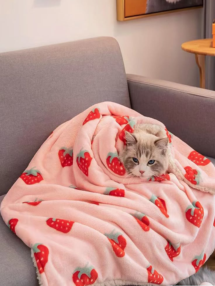 a cat laying on top of a couch covered in a blanket with red strawberries