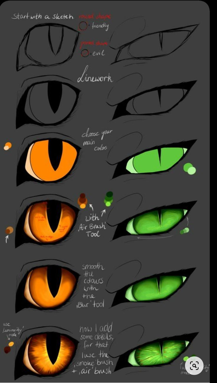 the different types of cats'eyes are shown in this graphic style, and they appear to