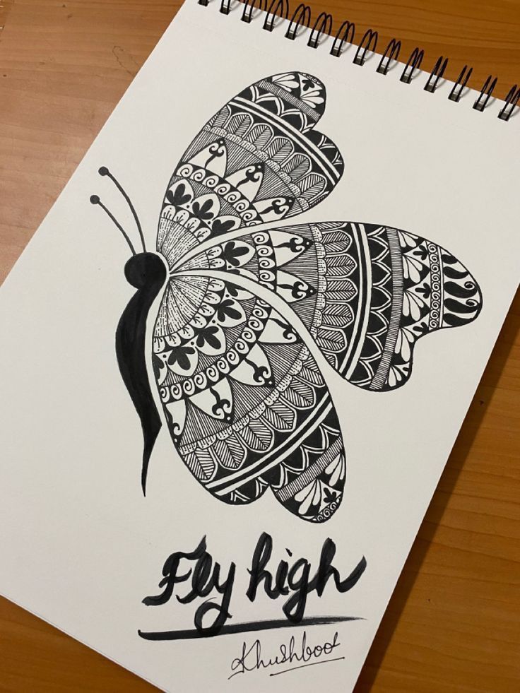 a drawing of a butterfly with the words fly high on it