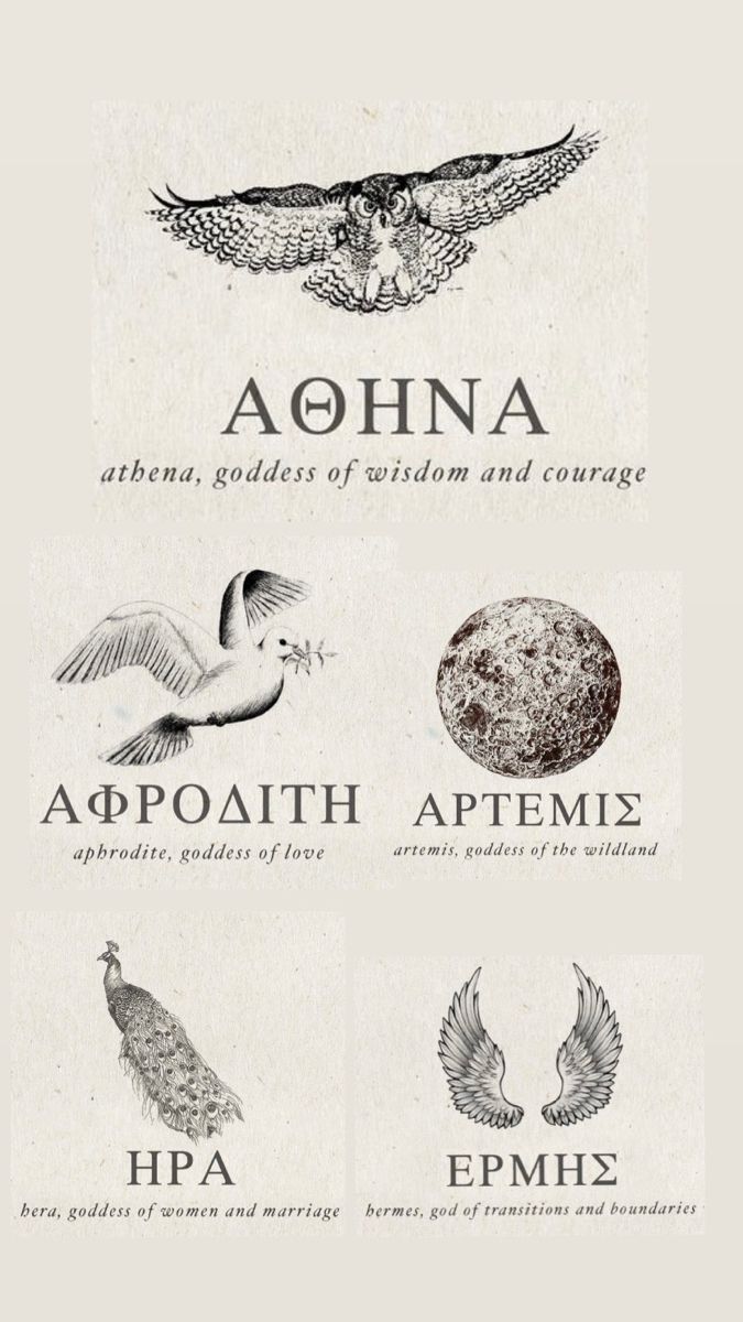 four different types of birds and their names in black and white, with the words apoaathh above them