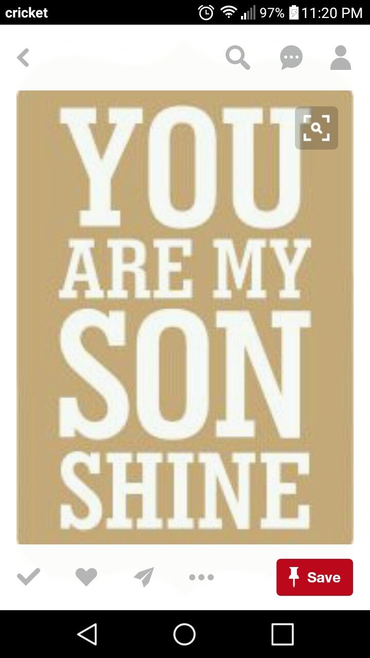 the words you are my son shine written in white on a beige and brown background