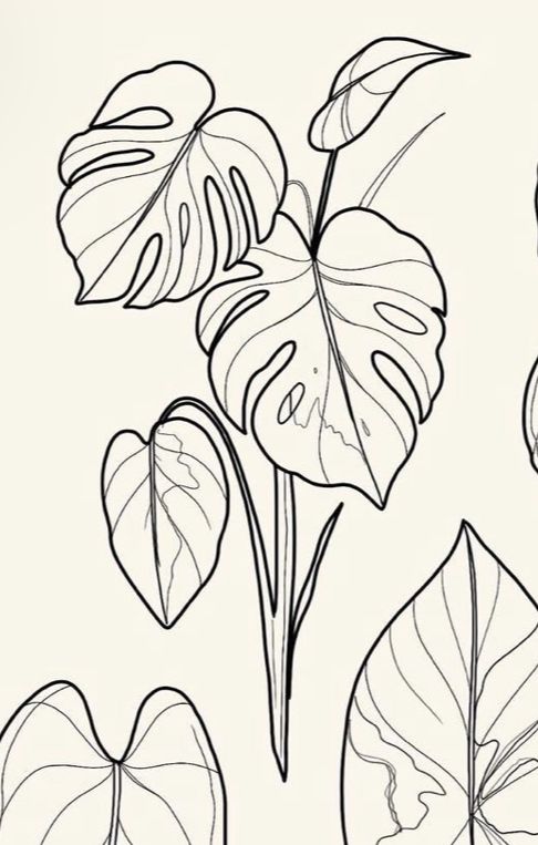 a black and white drawing of some leaves