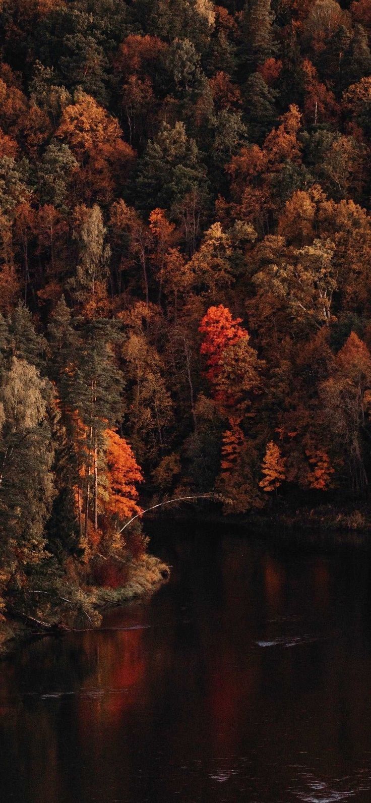 the trees are changing colors in the fall season, while the water is still calm