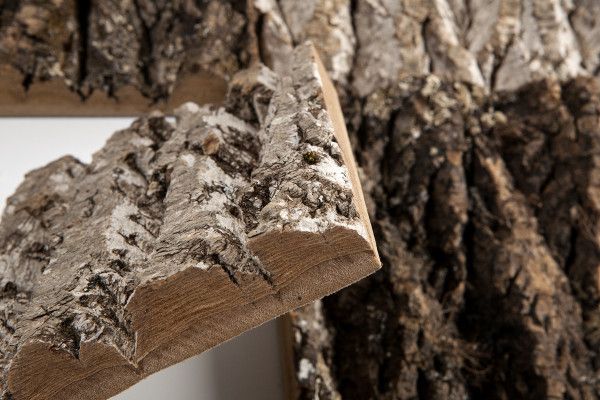 closeup of wood planks in front of a white wall and tree bark on the walls