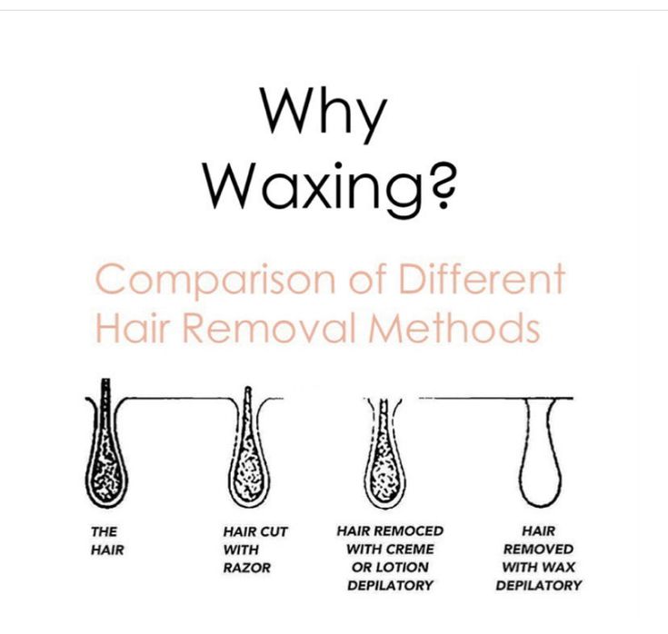 Waxing Post Ideas, Wax Suite Ideas, Waxing Education, Waxing Content, Waxing Specialist, Wax Suite, Waxing Aesthetic, Waxing Memes, Esthetician Career