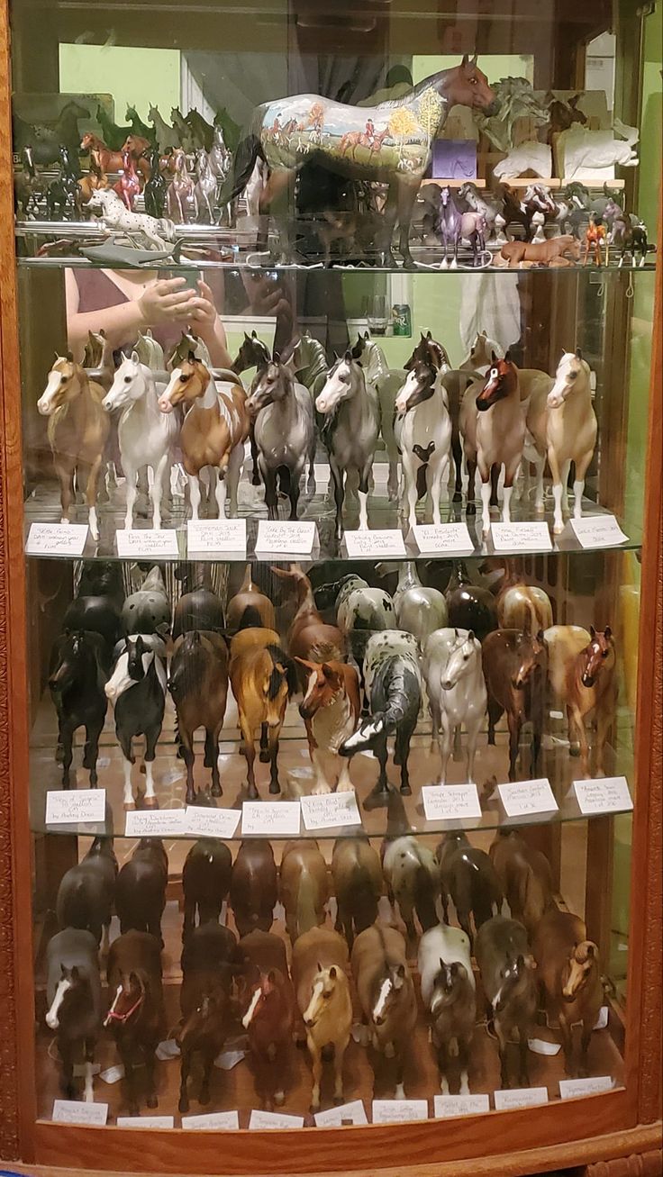 a display case filled with lots of toy animals