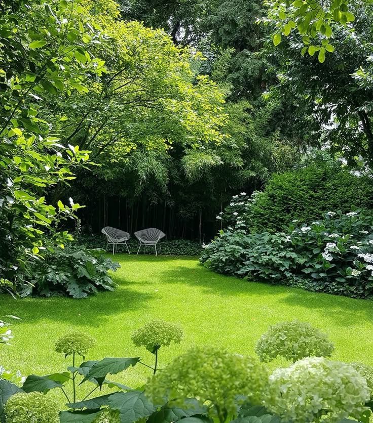 two chairs are sitting in the middle of a lush green yard with lots of trees