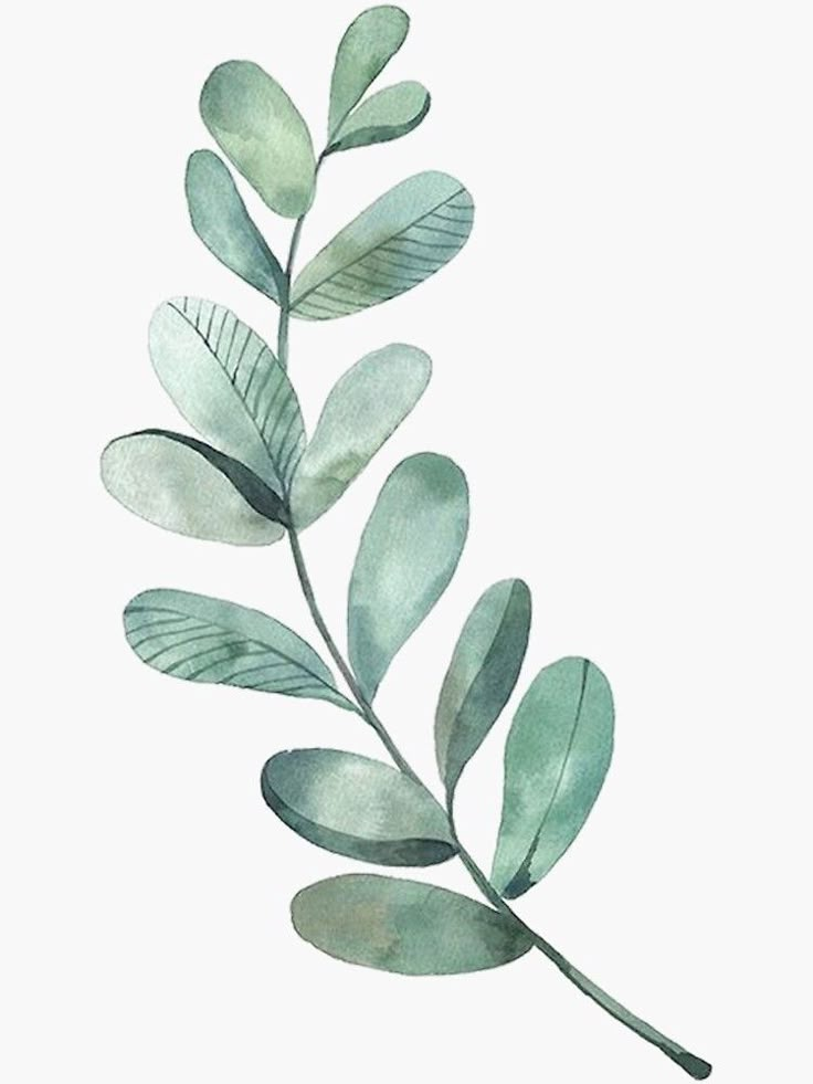 a watercolor painting of green leaves on a white background